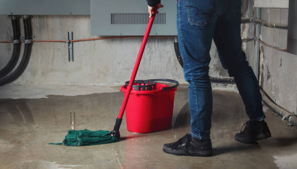 Best Mold removal after water damage  in Santa Anna, TX