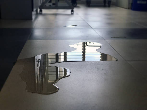Best 24-hour water damage restoration  in Santa Anna, TX